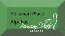 Peruvian Place Alpakas